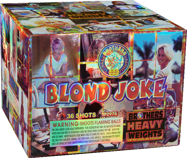 Blonde Joke 36 Shot